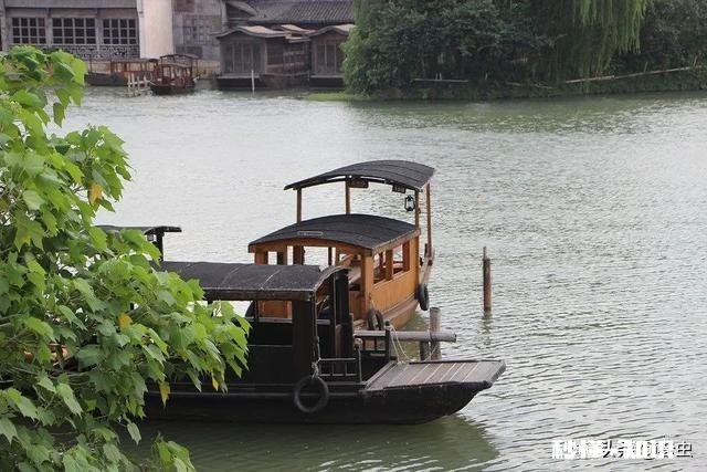 如何看待这次浙大的迷之操作