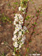 这次疫情能给家庭投资理财方面带来哪些经验和教训