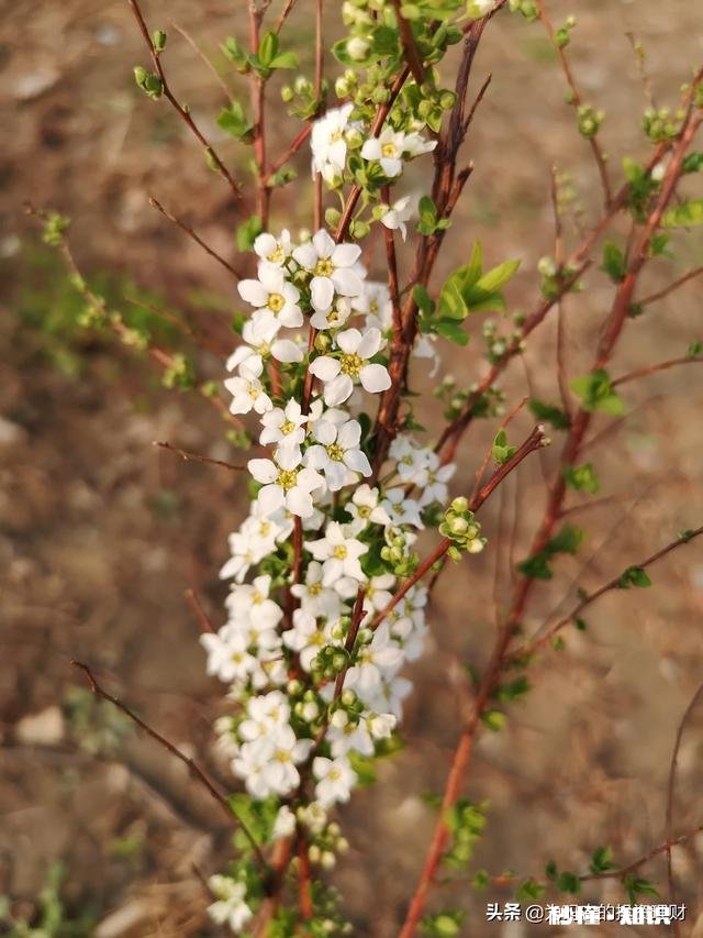 这次疫情能给家庭投资理财方面带来哪些经验和教训