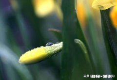 迷茫中，想辞职又没找到下家，不敢裸辞，但上班心累，如何调节