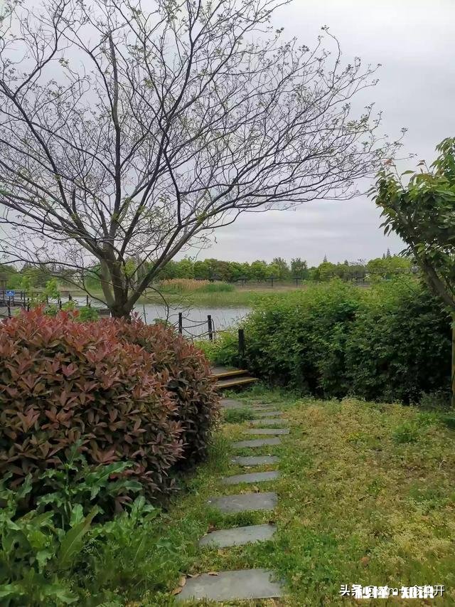 太闲，会毁掉一个正常的人，你认为呢