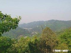 太闲，会毁掉一个正常的人，你认为呢