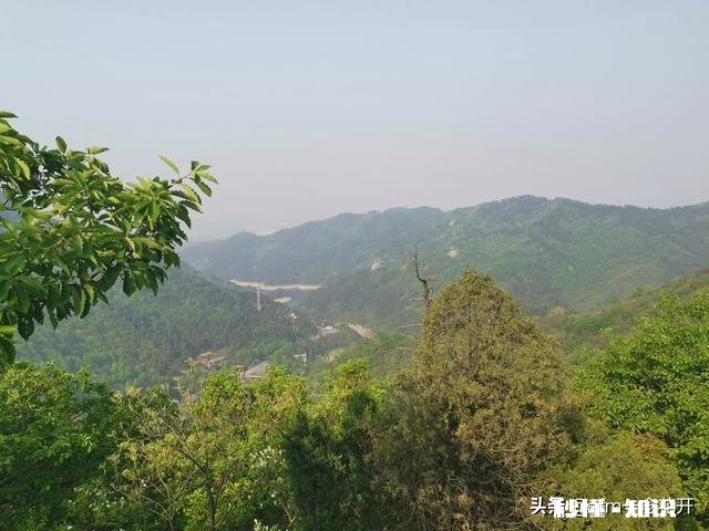 太闲，会毁掉一个正常的人，你认为呢