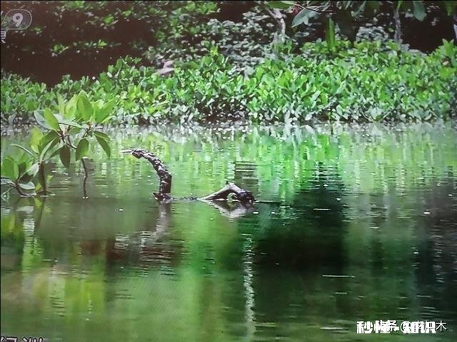 长江禁钓，内河有人承包。我想轻轻的问一句，我们到哪儿去钓鱼