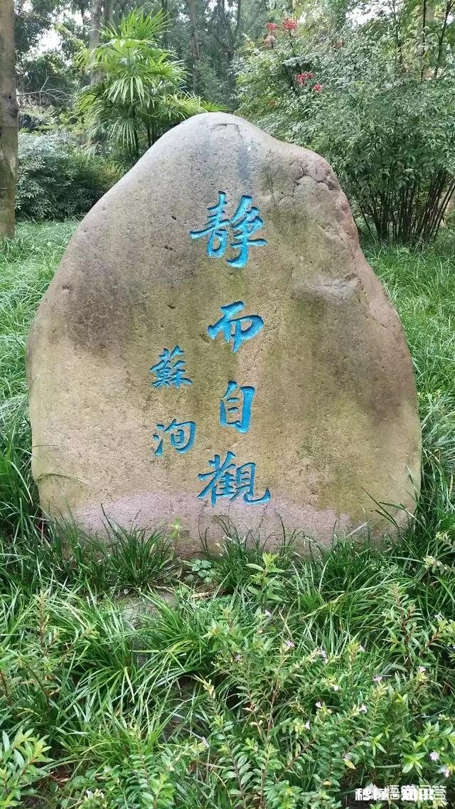 书法练习了好几年，给家里写对联，但是字形特难看怎么办