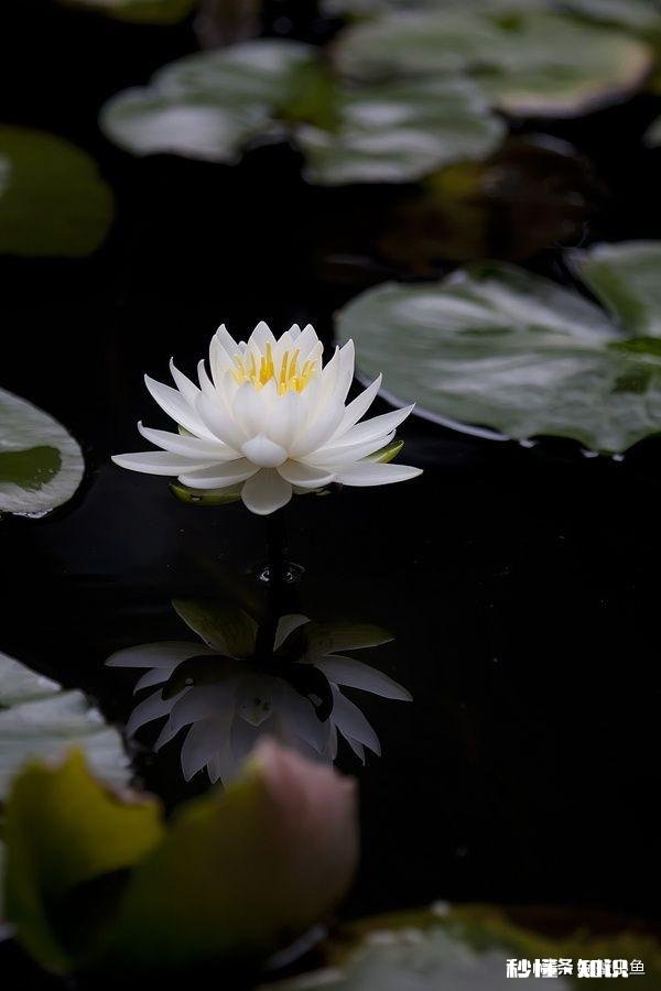 有人说“关于别人的家事、私事,这样的忙不能帮”你怎么看