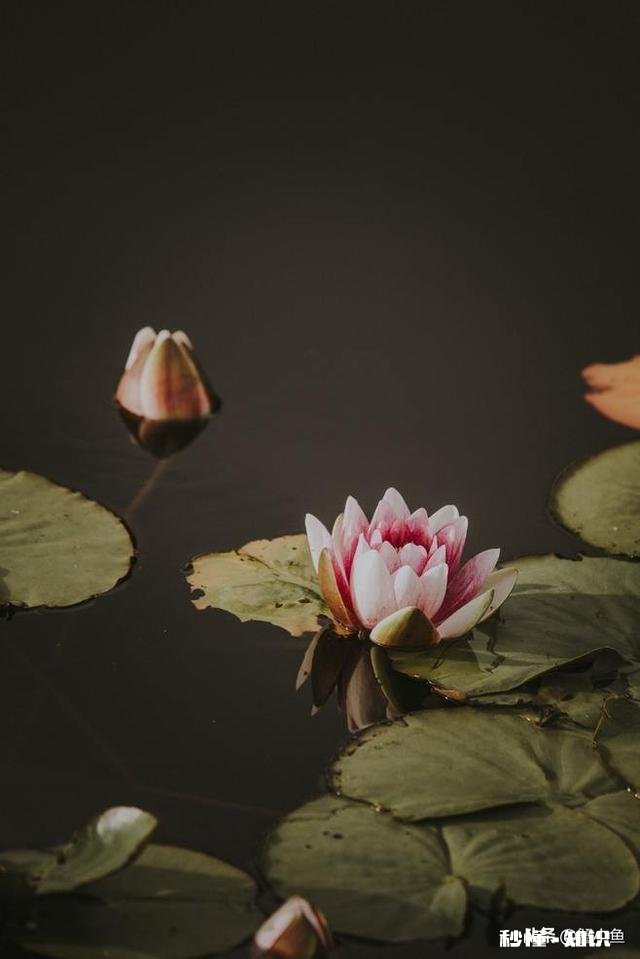 有人说“关于别人的家事、私事,这样的忙不能帮”你怎么看