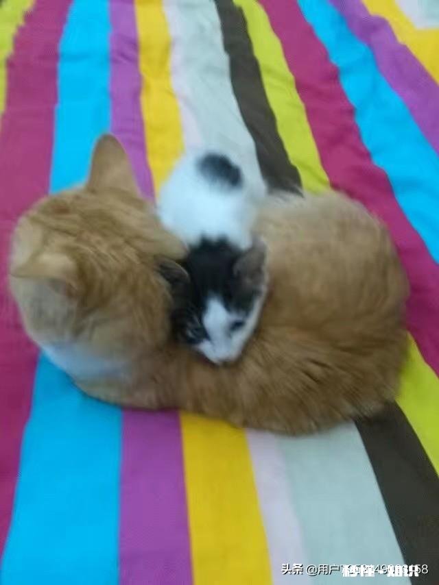 生活上拍摄哪些景象的视频，会得到更高的收视率