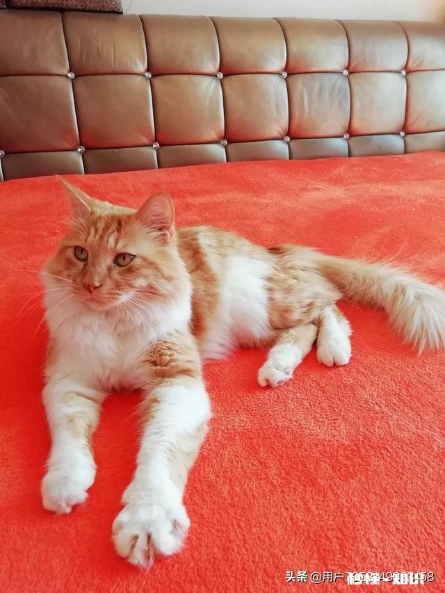 生活上拍摄哪些景象的视频，会得到更高的收视率