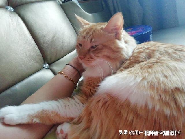 生活上拍摄哪些景象的视频，会得到更高的收视率