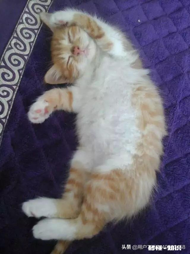 生活上拍摄哪些景象的视频，会得到更高的收视率