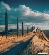 为什么工作久了会迷茫