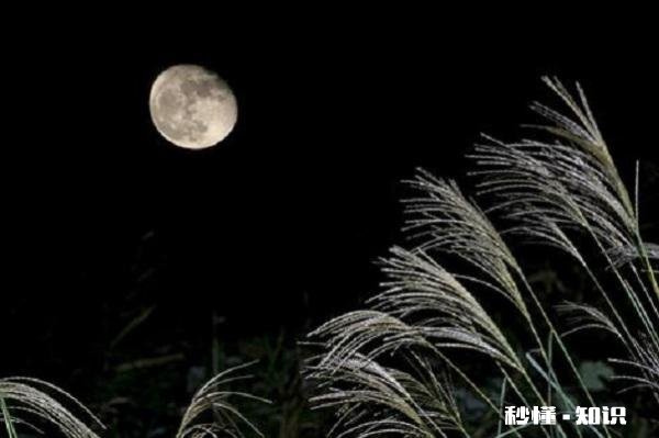 拍夜空应该写怎样的文字