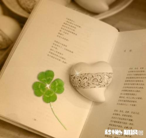 为什么现在看新闻的人爱看评论区的评论甚至觉得有些评论比新闻本身还要好