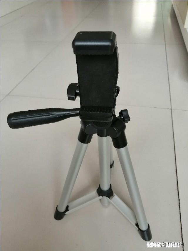 如何拍摄花慢慢的绽放视频