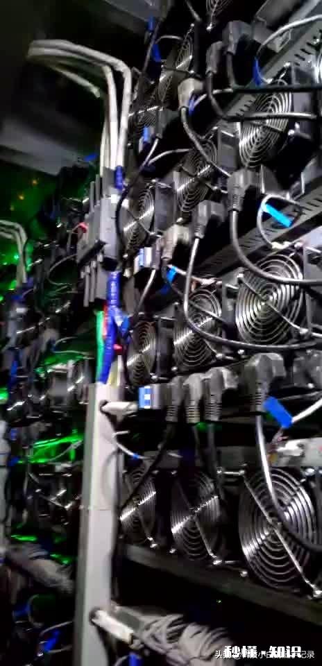 新手投资虚拟币，该如何选择