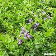 优质回答有机会分享5000元 你喜欢你现在的工作吗你希望从事什么工作呢