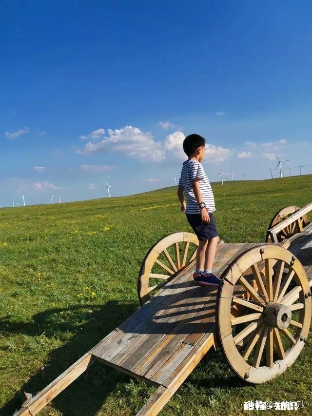 谁有拍过蓝天白云草原照片分享一下