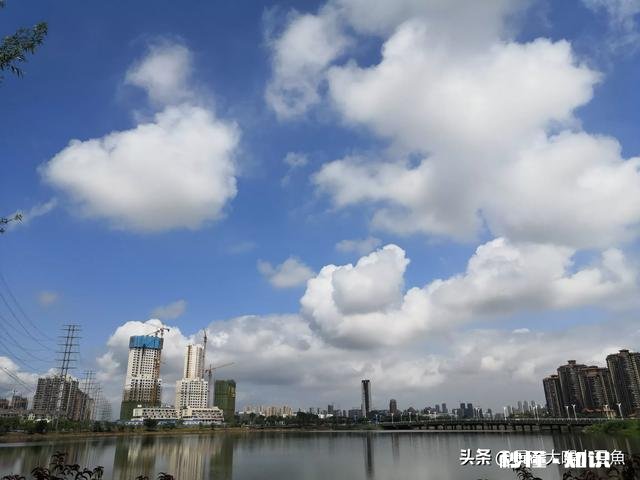 谁有拍过蓝天白云草原照片分享一下