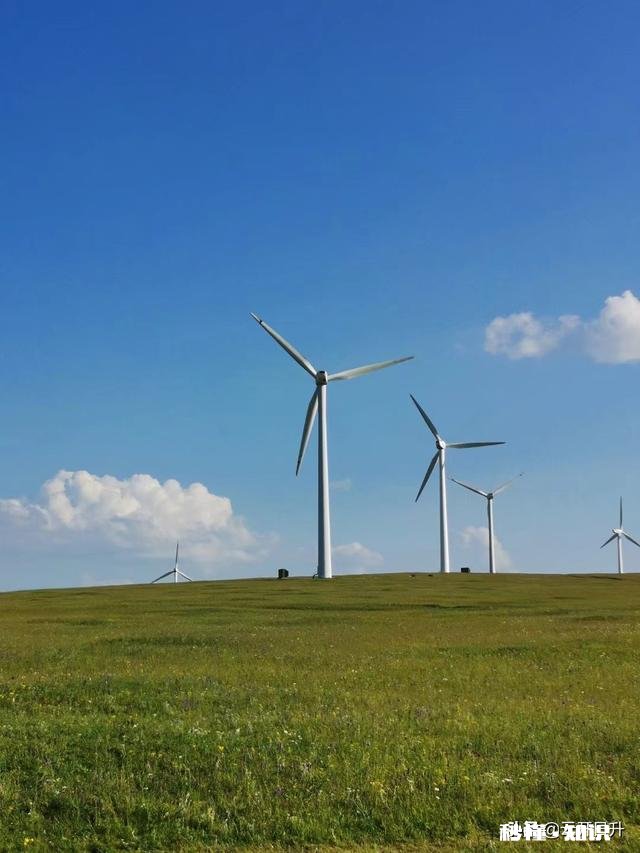 谁有拍过蓝天白云草原照片分享一下