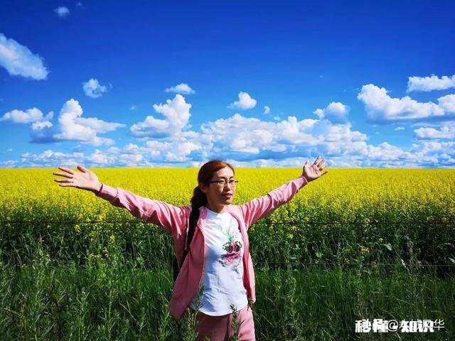 谁有拍过蓝天白云草原照片分享一下