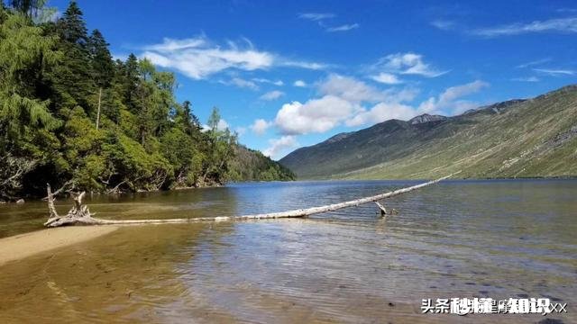 谁有拍过蓝天白云草原照片分享一下