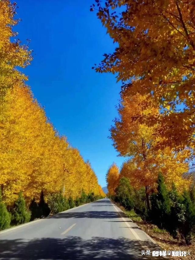 谁有拍过蓝天白云草原照片分享一下