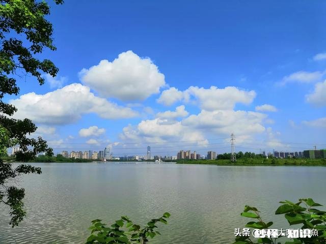 谁有拍过蓝天白云草原照片分享一下