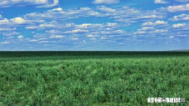 谁有拍过蓝天白云草原照片分享一下