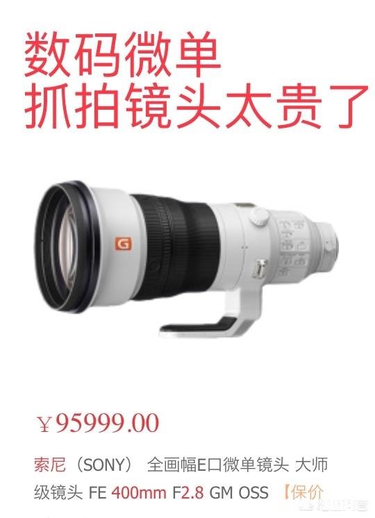 为什么有人说目前微单还不能取代单反