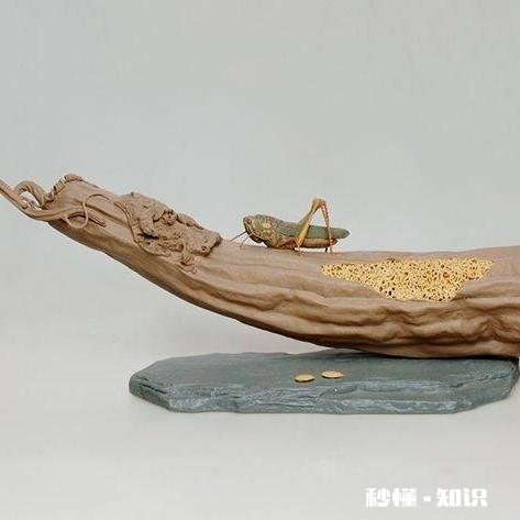 艺术对人的作用到底有多大