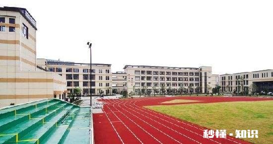 小学一年级到底要不要转学