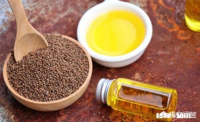 45岁后，身上这一处越“软”，一处越“弹”，就越能健康长寿，指的是哪里