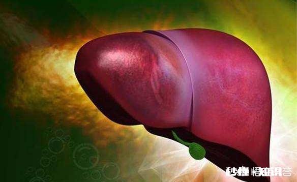 45岁后，身上这一处越“软”，一处越“弹”，就越能健康长寿，指的是哪里