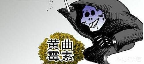 45岁后，身上这一处越“软”，一处越“弹”，就越能健康长寿，指的是哪里