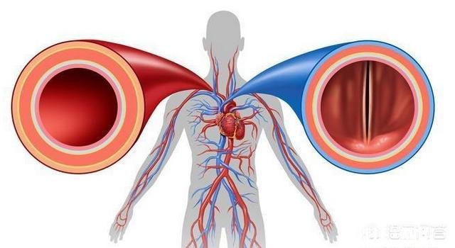 45岁后，身上这一处越“软”，一处越“弹”，就越能健康长寿，指的是哪里