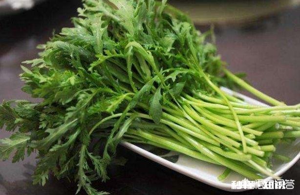 45岁后，身上这一处越“软”，一处越“弹”，就越能健康长寿，指的是哪里