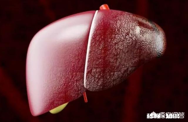 45岁后，身上这一处越“软”，一处越“弹”，就越能健康长寿，指的是哪里