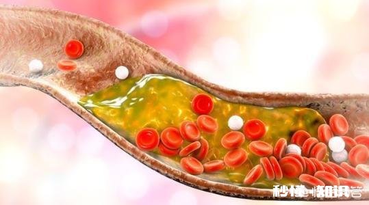 45岁后，身上这一处越“软”，一处越“弹”，就越能健康长寿，指的是哪里