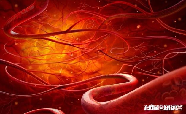 45岁后，身上这一处越“软”，一处越“弹”，就越能健康长寿，指的是哪里