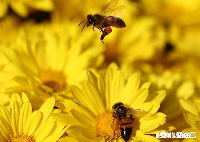 45岁后，身上这一处越“软”，一处越“弹”，就越能健康长寿，指的是哪里