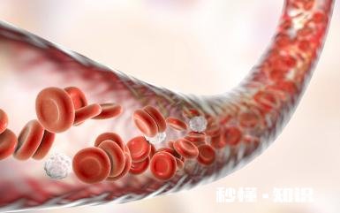 45岁后，身上这一处越“软”，一处越“弹”，就越能健康长寿，指的是哪里