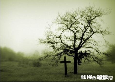 45岁后，身上这一处越“软”，一处越“弹”，就越能健康长寿，指的是哪里