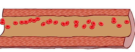 45岁后，身上这一处越“软”，一处越“弹”，就越能健康长寿，指的是哪里