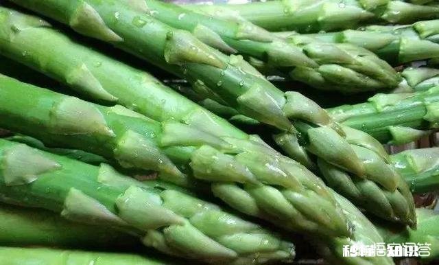 45岁后，身上这一处越“软”，一处越“弹”，就越能健康长寿，指的是哪里