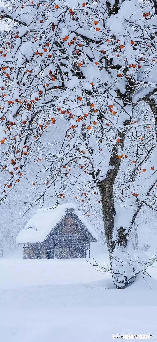 如何用手机拍出雪景大片
