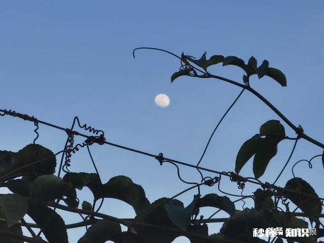 如何用手机拍出雪景大片