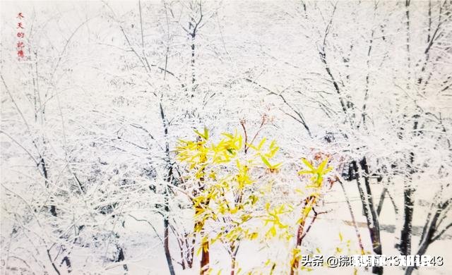 你见过用单反相机装门面的人吗说说眼见为实的故事