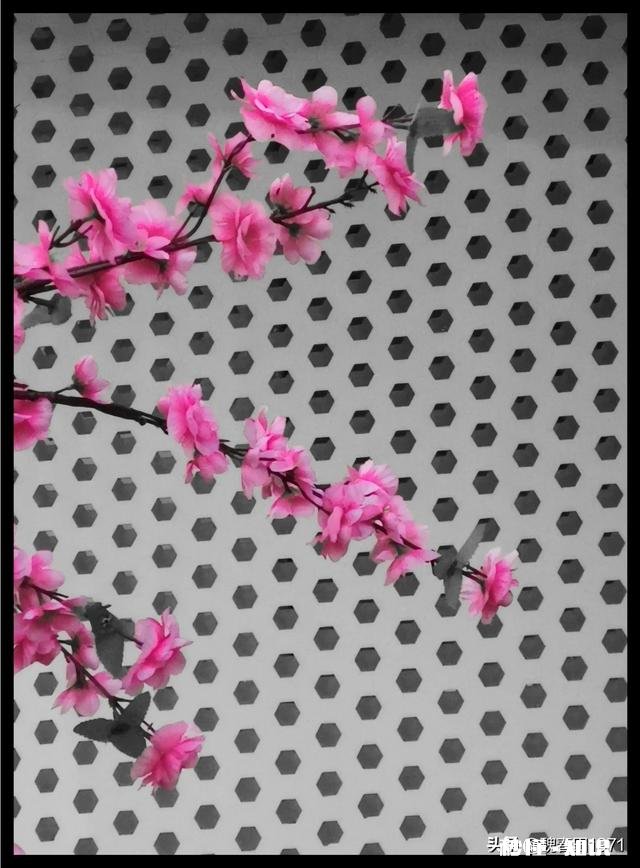 你见过用单反相机装门面的人吗说说眼见为实的故事