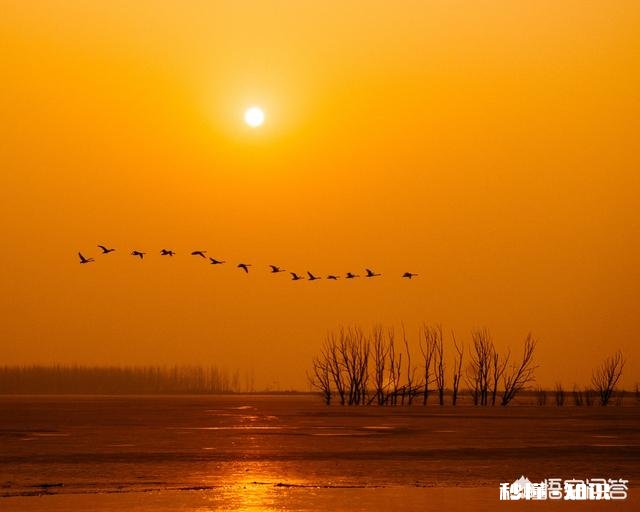 Lr修图后导入Ps相素会降低,怎么办如果直接用ps,但批量修麻烦,有什么改善的办法